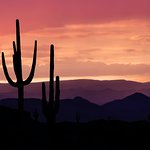 Ross S - 5 star service from Ace the Himalaya