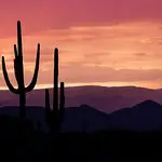 Ross S - 5 star service from Ace the Himalaya