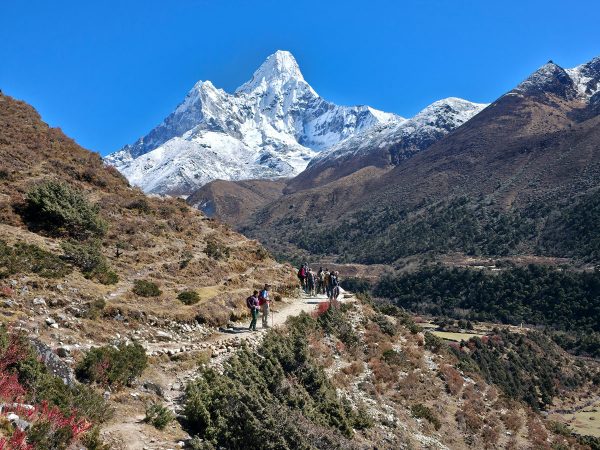 Standard vs Luxury Everest Base Camp Trek: What’s Best for You? Standard vs Luxury Everest Base Camp Trek: What’s Best for You?