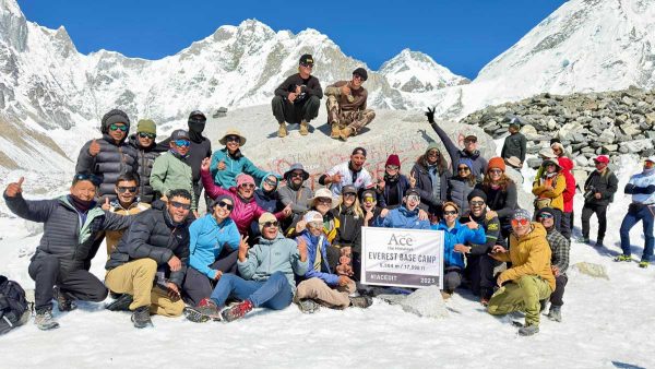 Hemani and Group Hemani and Group