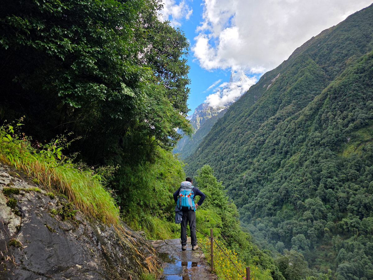 Annapurna Base Camp Trek Distance 2 Walking through lush forests on the way to Bamboo.