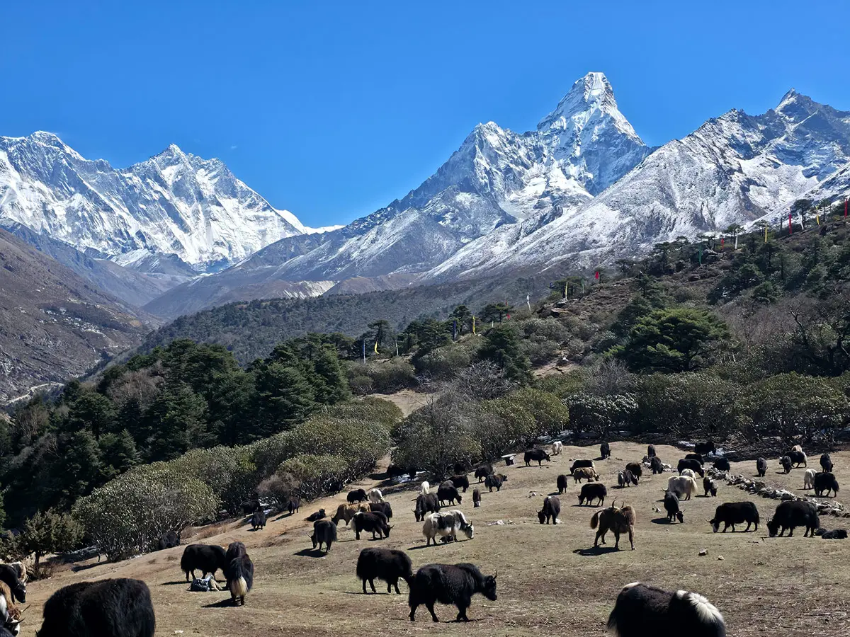 Everest Base Camp Trek in April: Complete Guide 2026/27