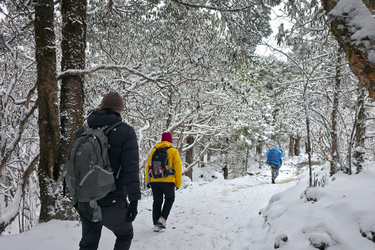 Everest Base Camp Trek in April 3 Snowy trail on the way to Tengboche