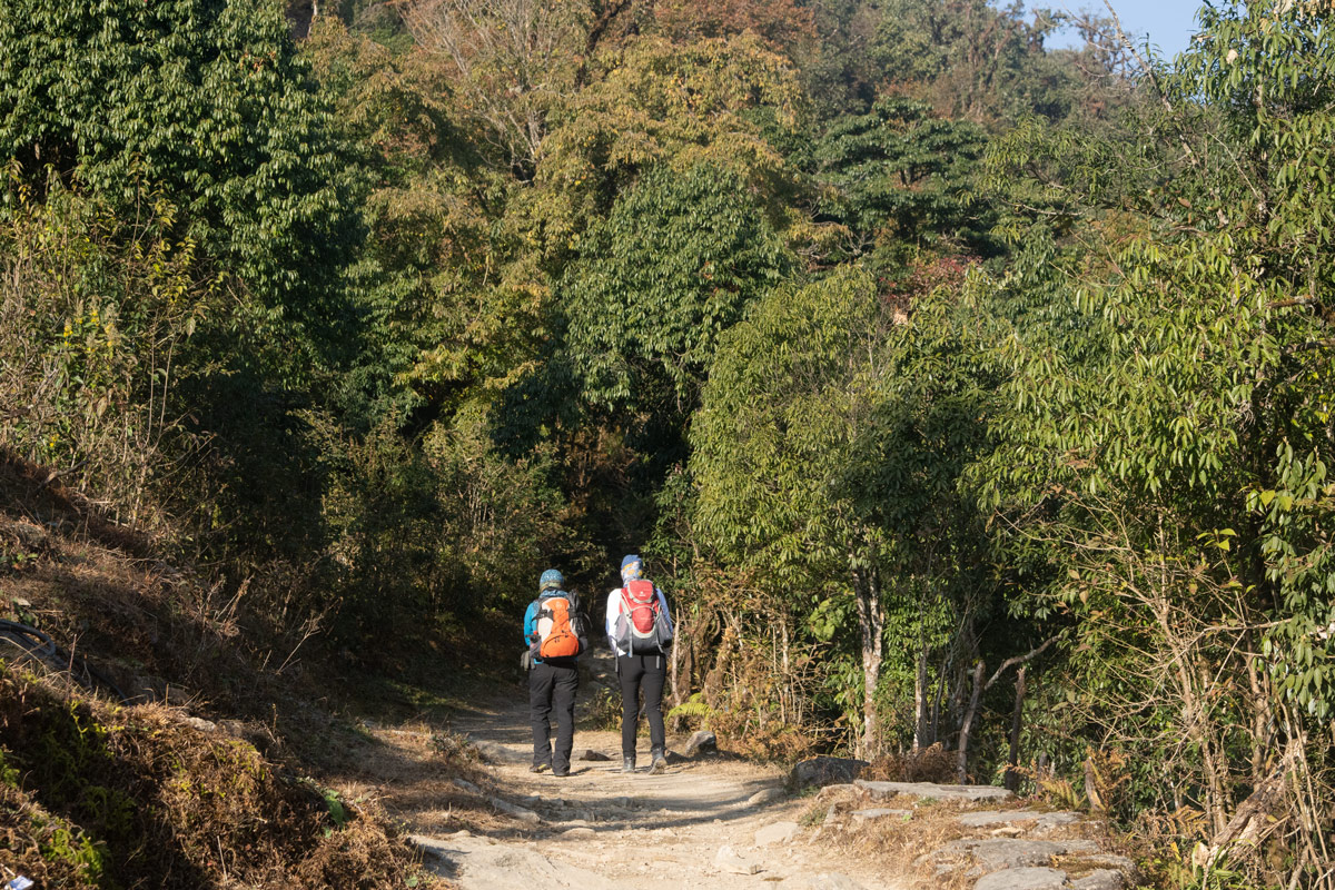 Trekkers on their way to Ghorepani Trekkers on their way to Ghorepani