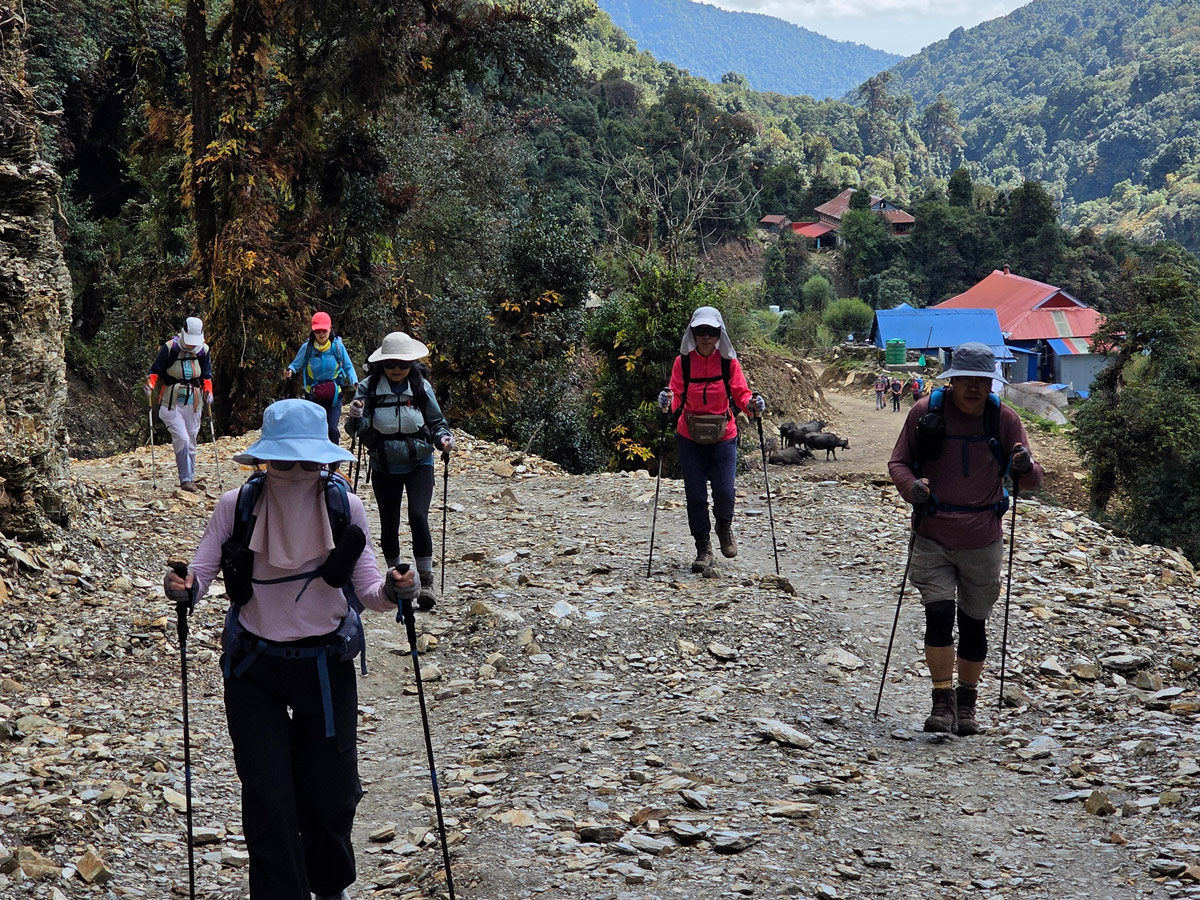 Trekkers on the way to Ghorepani Trekkers on the way to Ghorepani