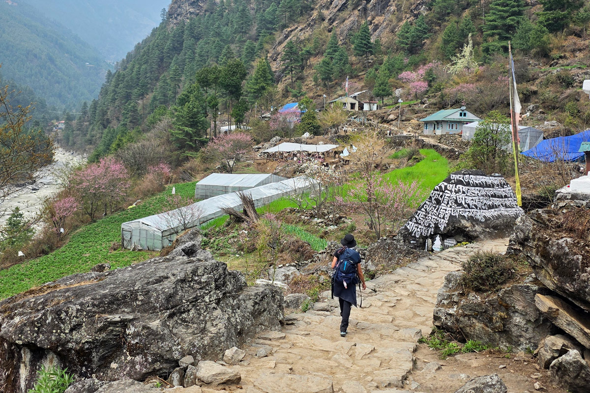 Trekking to Phakding from Lukla Trekking to Phakding from Lukla