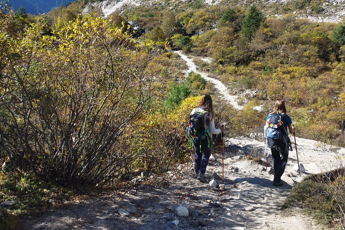 Can a First-Timer Trek the Manaslu Circuit? 7 Trekking to Dharapani from Goa